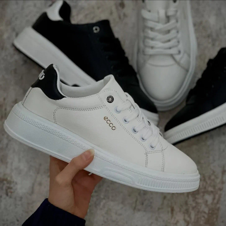 خرید کتونی مردانه اکو ونسی